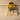 Chevrolet Sedan giel aus 1950 TAXI - Solido Referenz 4509 (amerikanescht Auto)