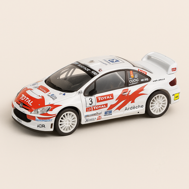 Peugeot 307 WRC blanche numéro 3 - Rallye du Var de 2007 - Image haute qualité