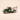 Voiture miniature - Ford V8 dépanneuse verte et blanche CASTROL - Solido référence 4439